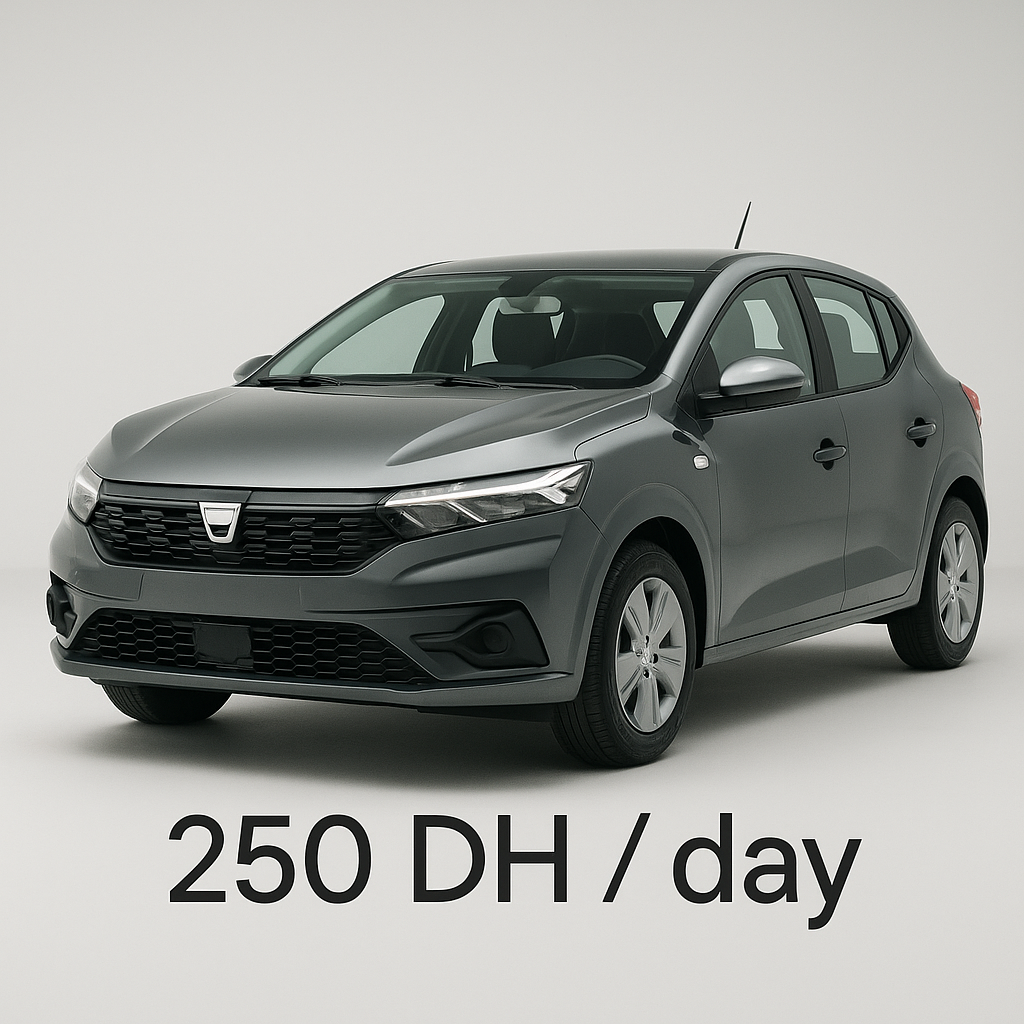 Dacia Sandero - Grey